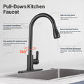 Gooseneck Single-Handle Pull Down Sprayer Kitchen Faucet with Deckplate and Sweep Spray Pull Out Sink Faucet in Black