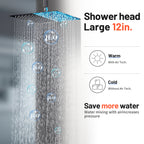 Rain Single Handle 1-Spray with Valve 1.8 GPM 12 " Shower Faucet Pressure Balance Dual Shower Heads in Black
