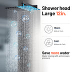 Rain Single Handle 2-Spray 10 in. Shower Faucet Handheld Combo with Valve 1.8 GPM Adjustable Dual Shower Heads in Black