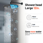 Rain Single Handle 1-Spray with Valve 1.8 GPM 12 " Shower Faucet Pressure Balance Dual Shower Heads in Black
