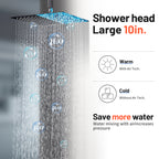 Rain Single Handle 1-Spray Shower Faucet 2.5 GPM 10 " with Valve Pressure Balance Dual Shower Heads in Black