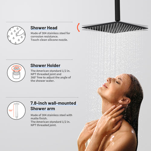 Rain Single Handle 1-Spray with Valve 1.8 GPM 12 " Shower Faucet Pressure Balance Dual Shower Heads in Black