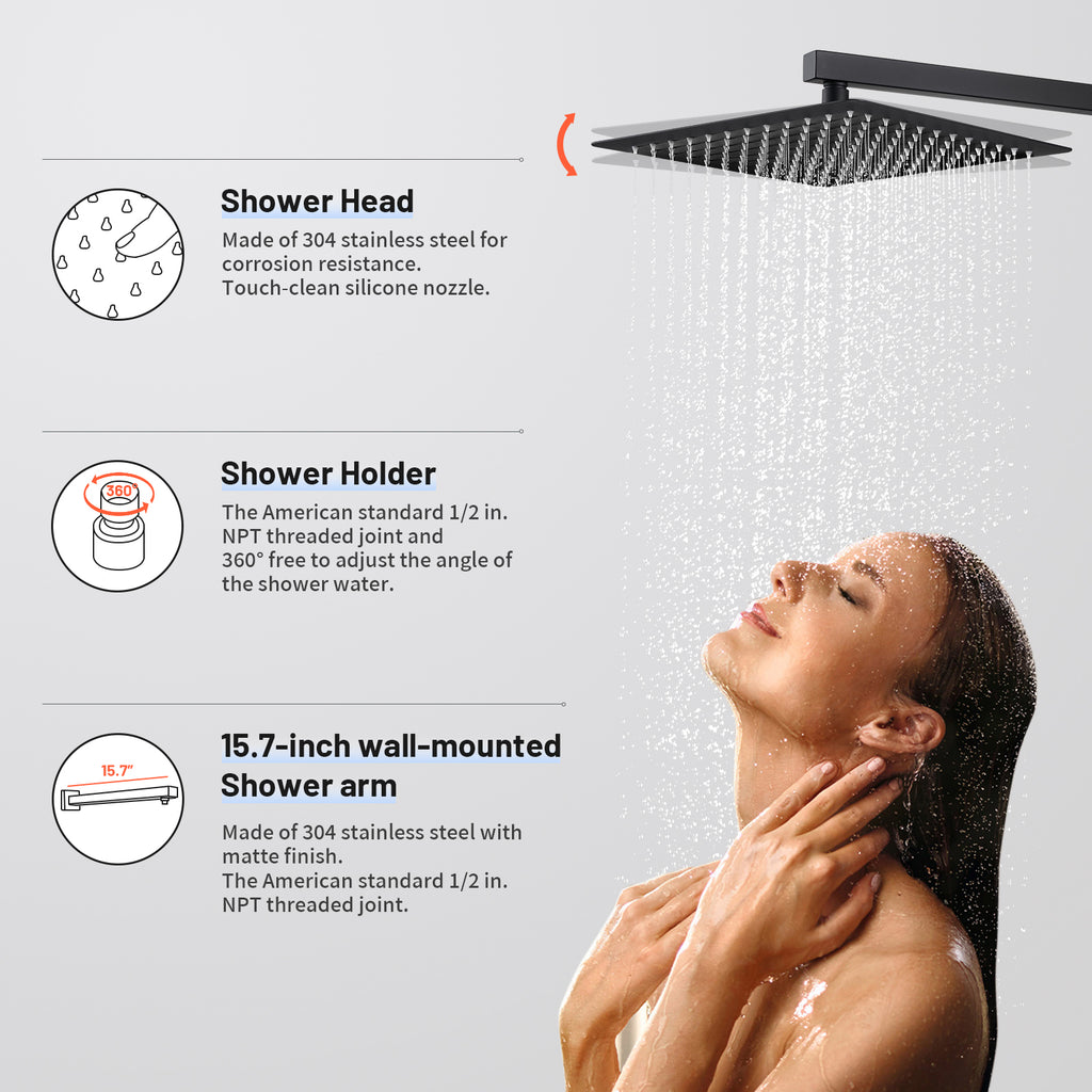 Rain Single Handle 2-Spray 10 in. Shower Faucet Handheld Combo with Valve 1.8 GPM Adjustable Dual Shower Heads in Black