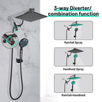 Rainfull 2-in-1 9-Spray Patterns Adjustable Wall Mount Shower Head with Filter 2.5 GPM and Handheld Shower Head in Black