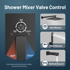 Rain Single Handle 1-Spray Tub Shower Faucet 2.5 GPM Handheld Combo with Valve 10 in. Pressure Balance in Black