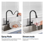 Gooseneck Single-Handle Pull Down Sprayer Kitchen Faucet with Deckplate and Sweep Spray Pull Out Sink Faucet in Black