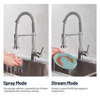 Single-Handle Pull Out Sprayer Coil Spring High-Arc Kitchen Faucet with Deckplate Sink Faucet in Chrome
