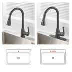 Gooseneck Single-Handle Pull Down Sprayer Kitchen Faucet with Deckplate and Sweep Spray Pull Out Sink Faucet in Black
