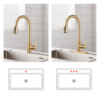 Gooseneck Single-Handle Pull Down Sprayer Kitchen Faucet with Deckplate and Sweep Spray Pull Out Sink Faucet in Gold