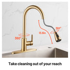 Gooseneck Single-Handle Pull Down Sprayer Kitchen Faucet with Deckplate and Sweep Spray Pull Out Sink Faucet in Gold