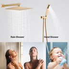 Rain Single Handle 2-Spray 10 in. Shower Faucet Handheld Combo with Valve 1.8 GPM Adjustable Dual Shower Heads in Gold